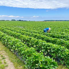 24-06-28 14-02-37 9990